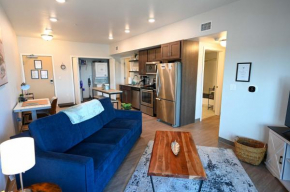 Brand New 2 Bedroom Apartment Steps from Mayo!